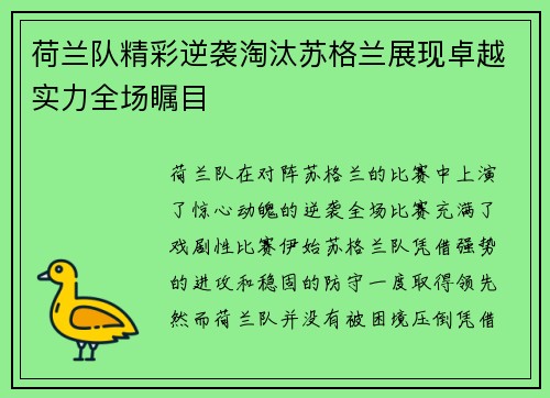 荷兰队精彩逆袭淘汰苏格兰展现卓越实力全场瞩目